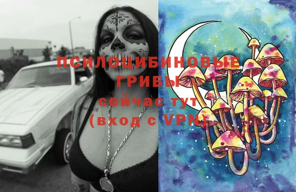 трава Нефтегорск