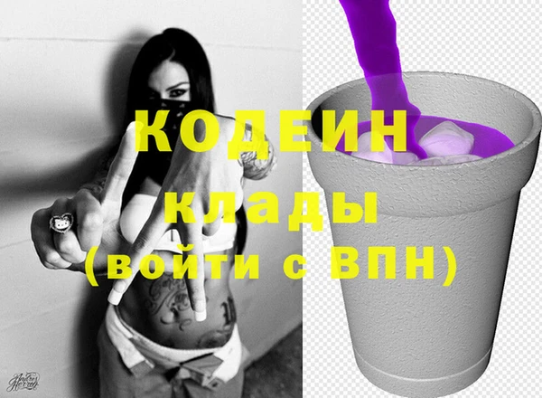 МДПВ Нея
