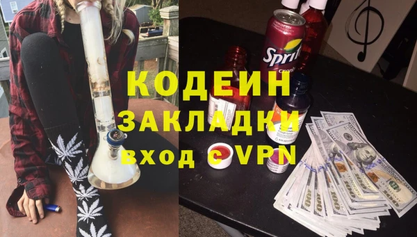 МДПВ Нея