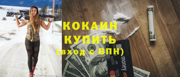 МДПВ Нея