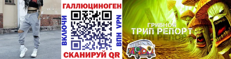 Галлюциногенные грибы Psilocybine cubensis Старый Крым